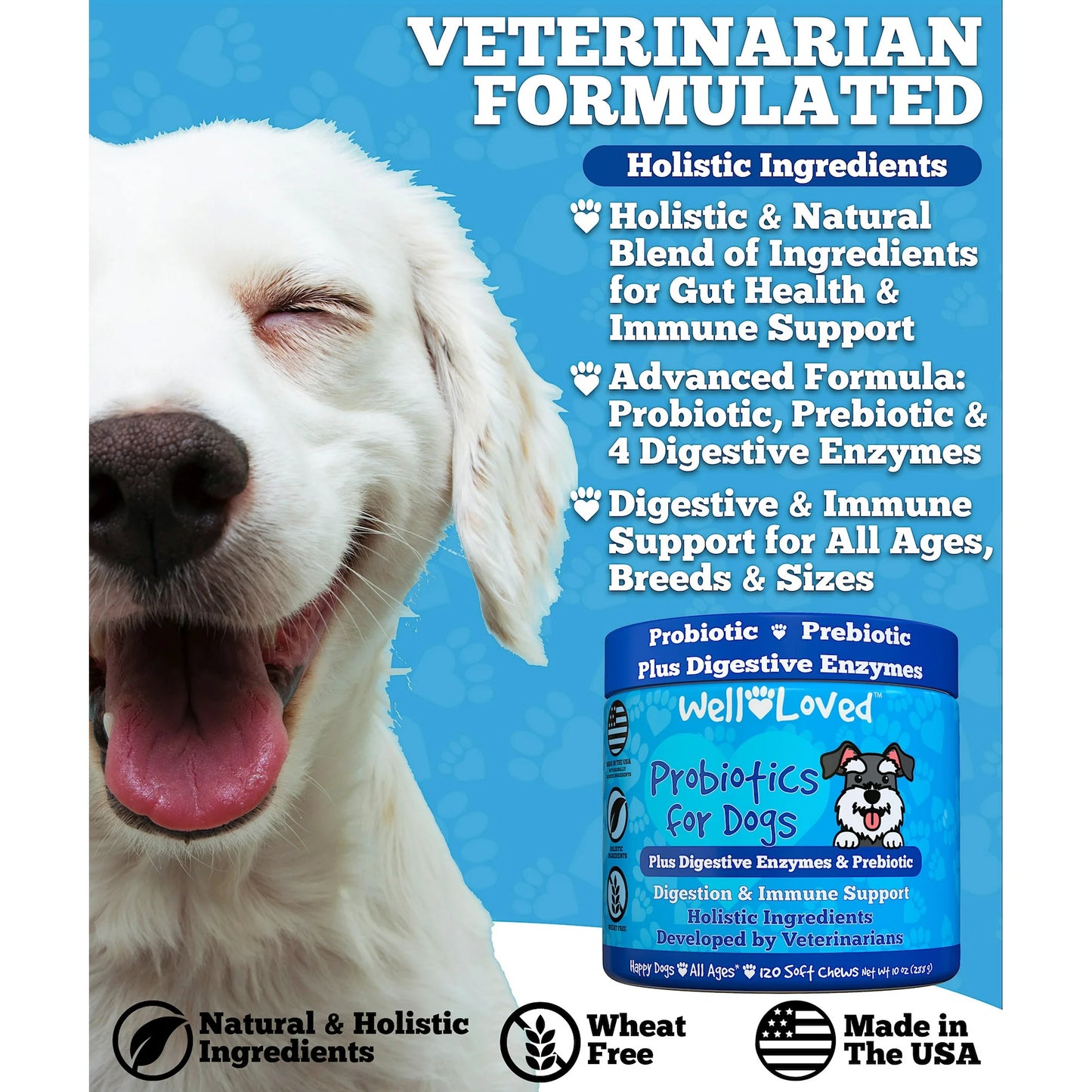 Well Loved Probiotics for Dogs, Dog Probiotics and Digestive Enzymes Supplement