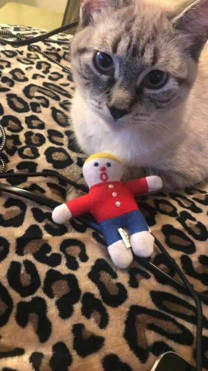 Multipet Mr. Bill Cat Toy 4 inch - Bark & Beyond