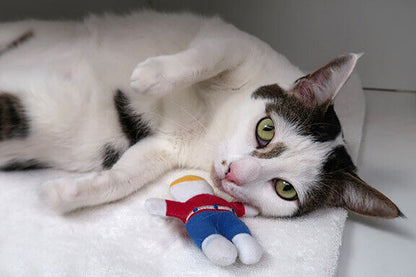 Multipet Mr. Bill Cat Toy 4 inch - Bark & Beyond
