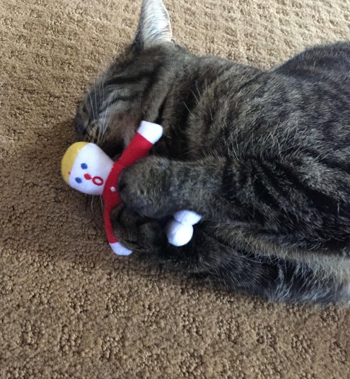 Multipet Mr. Bill Cat Toy 4 inch - Bark & Beyond