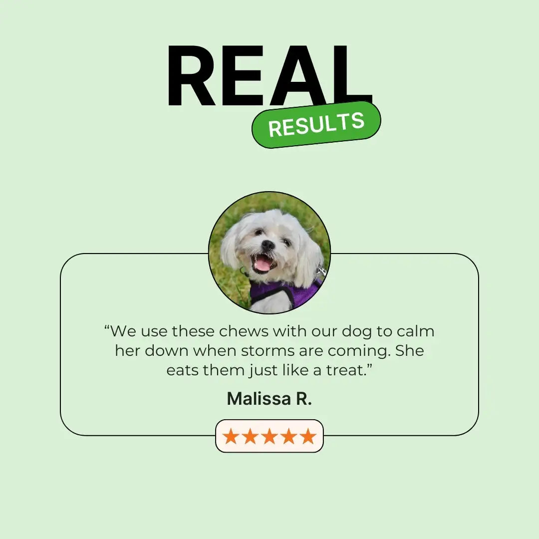 Calming Support With Hemp For Dogs 9oz Jar (120 Count)