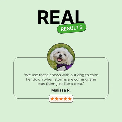 Calming Support With Hemp For Dogs 9oz Jar (120 Count)