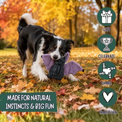 Baxter Bat Halloween Dog Toy
