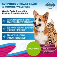 Cranberry Urinary Support Drops for Cats and Dogs, 2 Pack, photo 2 of 7