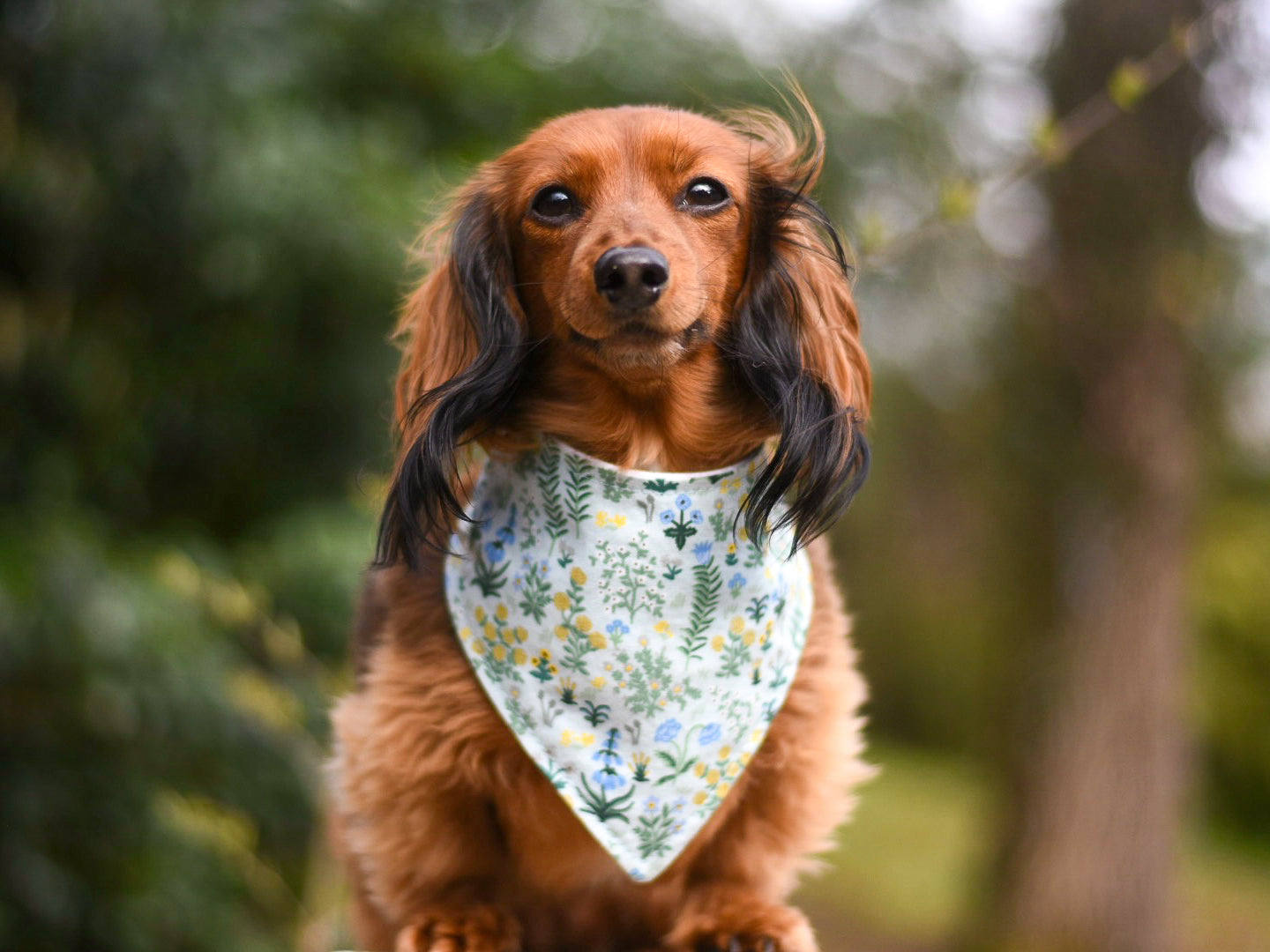 "Dusty Leaves" Dog Bandana