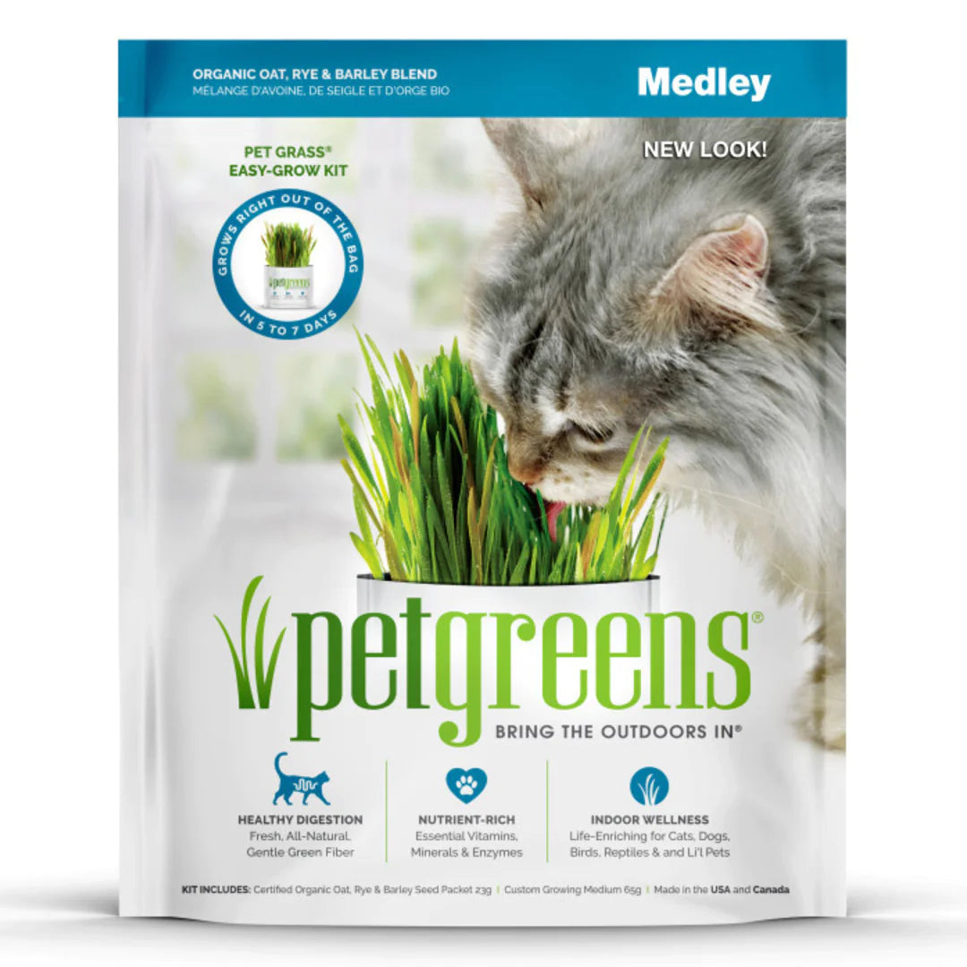 Pet Greens Medley Pet Grass SelfGrow Kit Organic Oat, Rye, Barley Blend, 3 pk
