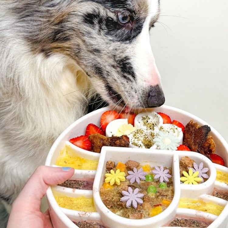 SodaPup Java eBowl deep slow feeder dog bowl for enrichment, made in the USA, with textured surface and durable design.