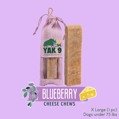 Blueberry Cheese Chews for Dogs