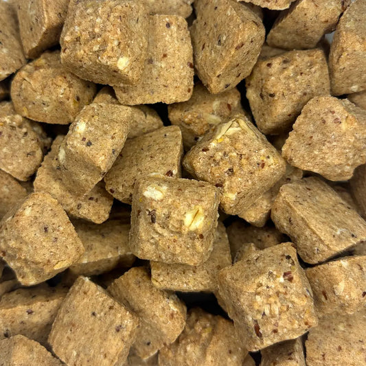 All-Natural Snickerdoodle Oat Bites for Dogs | Chicken-Free Treats 12oz