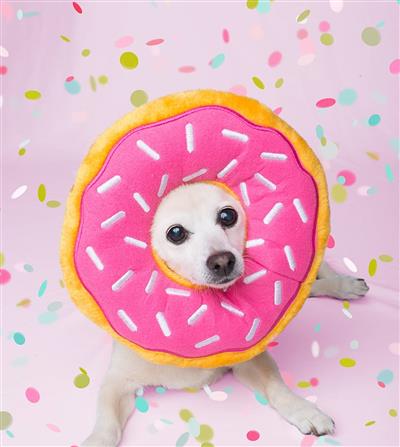 ZippyPaws Jumbo Donutz Strawberry Dog Toy