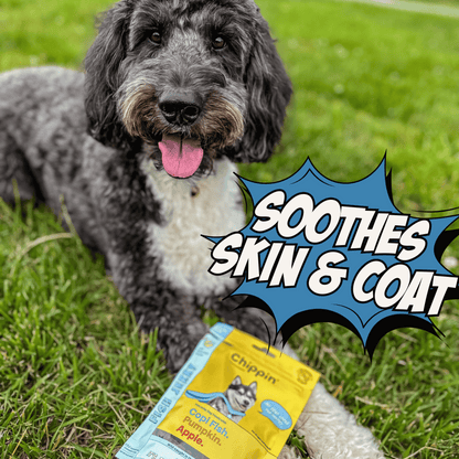 Fish & Veggie Variety Pack Dog Treats