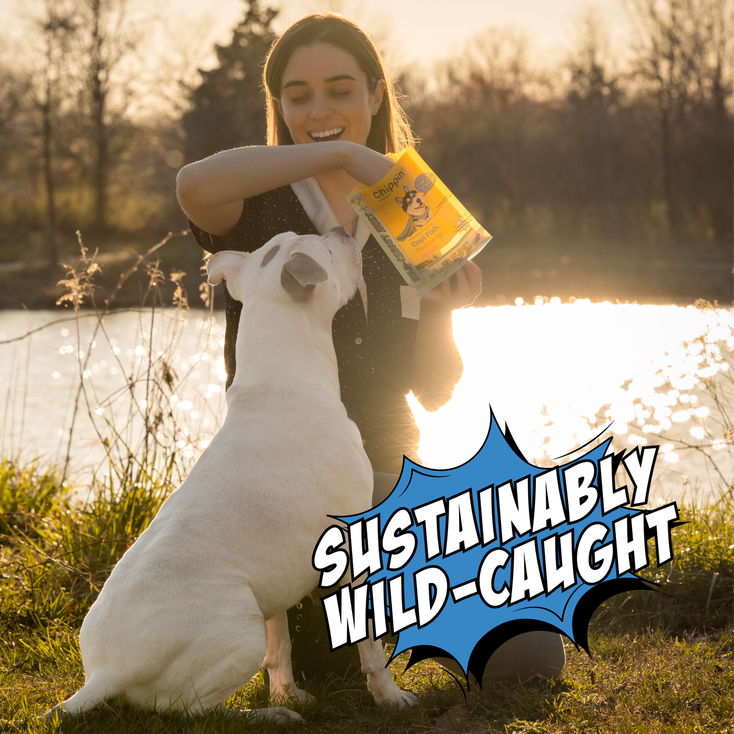 Chippin Protein Starter Pack