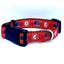 Alabama Crimson Tide Dog Collar or Leash.