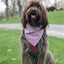 American Flag Dog Bandana | Patriotic bandana | 4th of July | Plaid Hunter K9