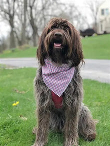 American Flag Dog Bandana | Patriotic bandana | 4th of July | Plaid Hunter K9