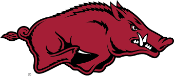 NCAA University of Arkansas, Tusk the Razorback Knottie® Plush Dog Toy