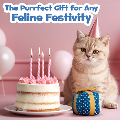 PUPROAR Gift Box Cat Toy | Cute Catnip & Crinkle Birthday Cat Toy