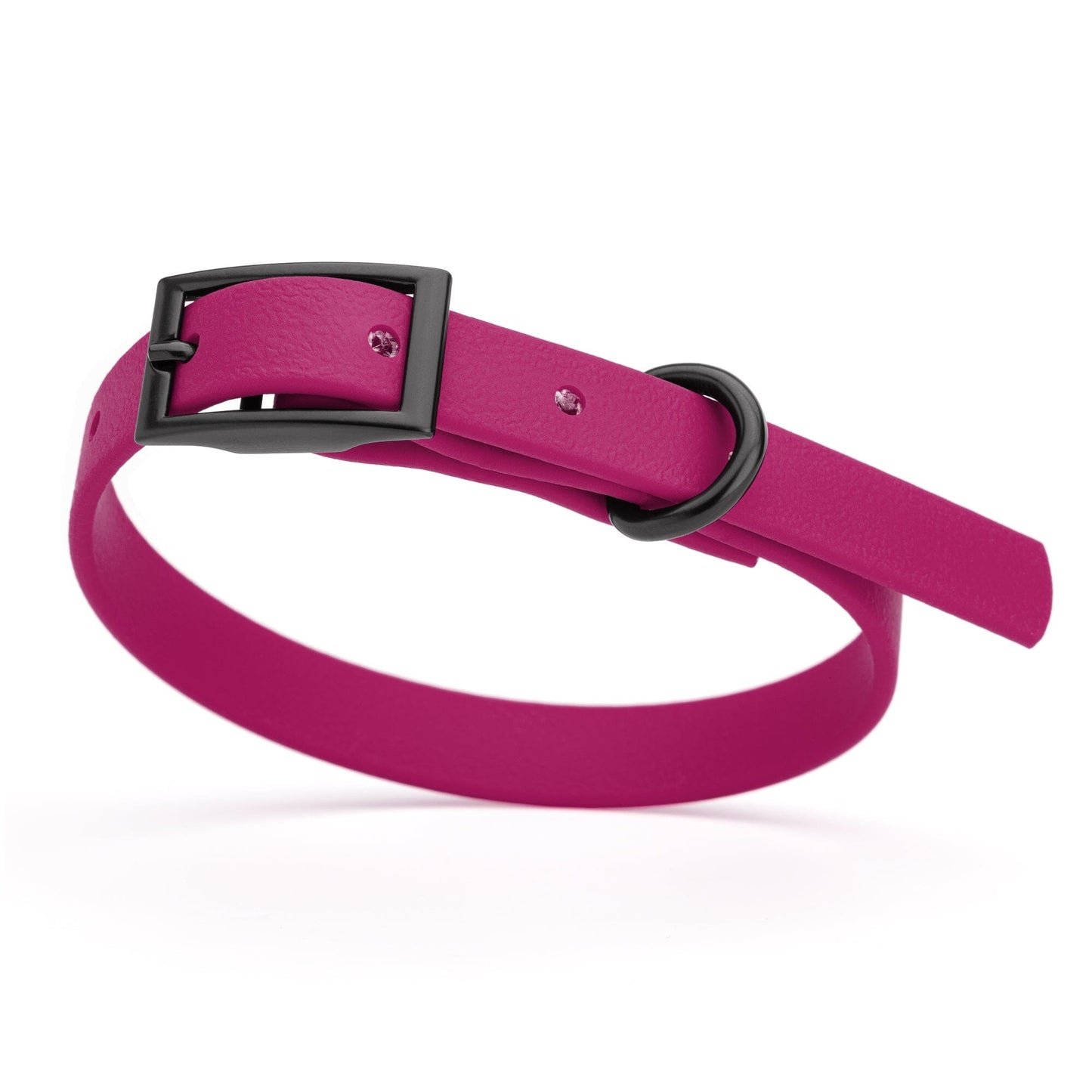 Dogline Biothane Waterproof Dog Collar with Black Hardware - Size XS (9 to 12 inches)