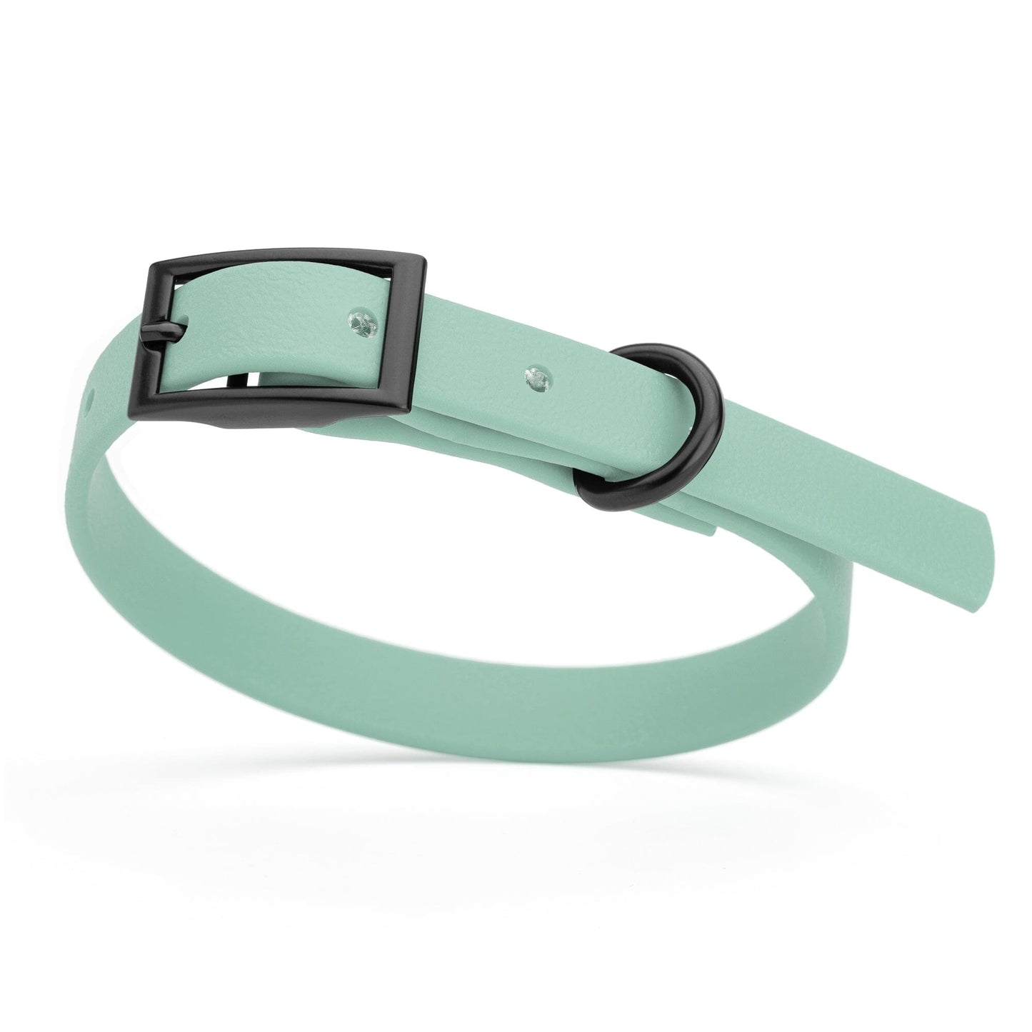Dogline Biothane Waterproof Dog Collar with Black Hardware - Size XS (9 to 12 inches)