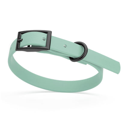 Dogline Biothane Waterproof Dog Collar with Black Hardware - Size XS (9 to 12 inches)