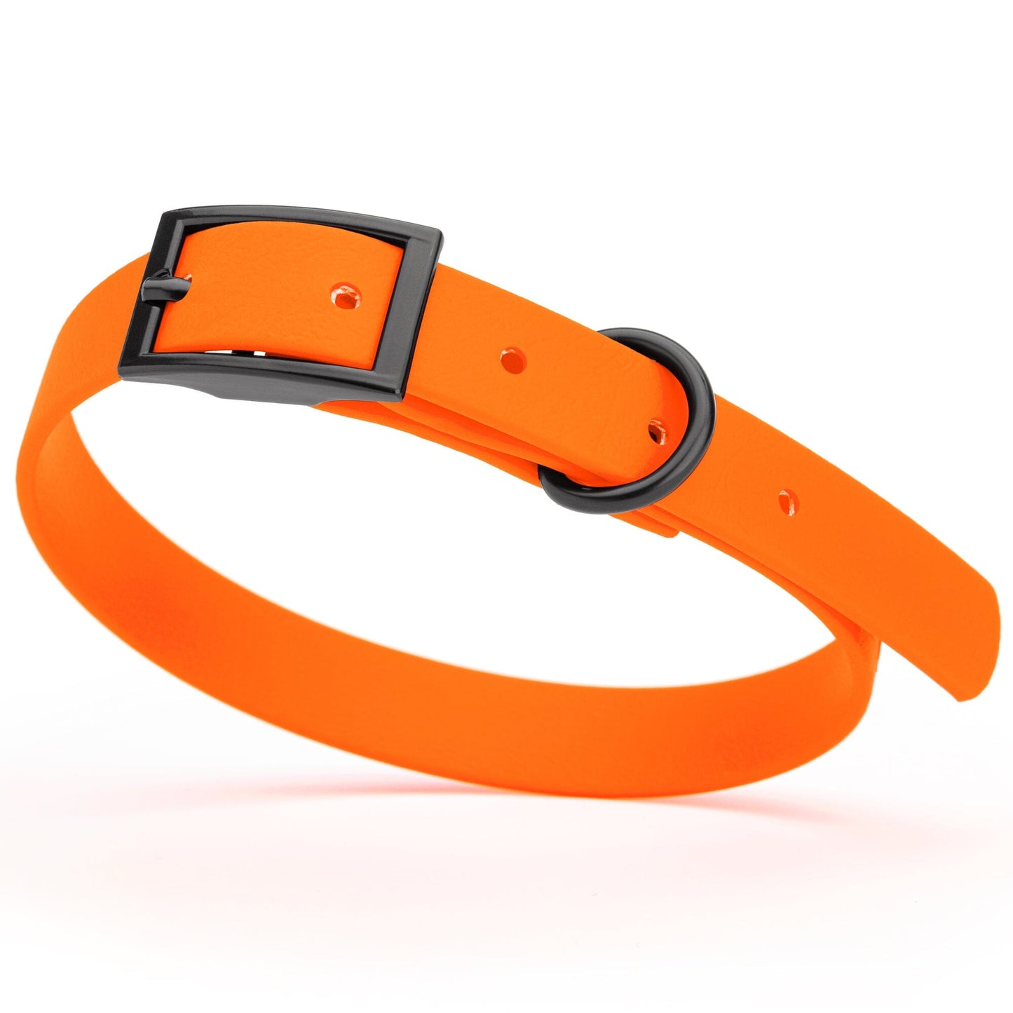 BioThane Waterproof Dog Collar - XS: L 9"-12" x W 1/2" - Black OR Brass Hardware