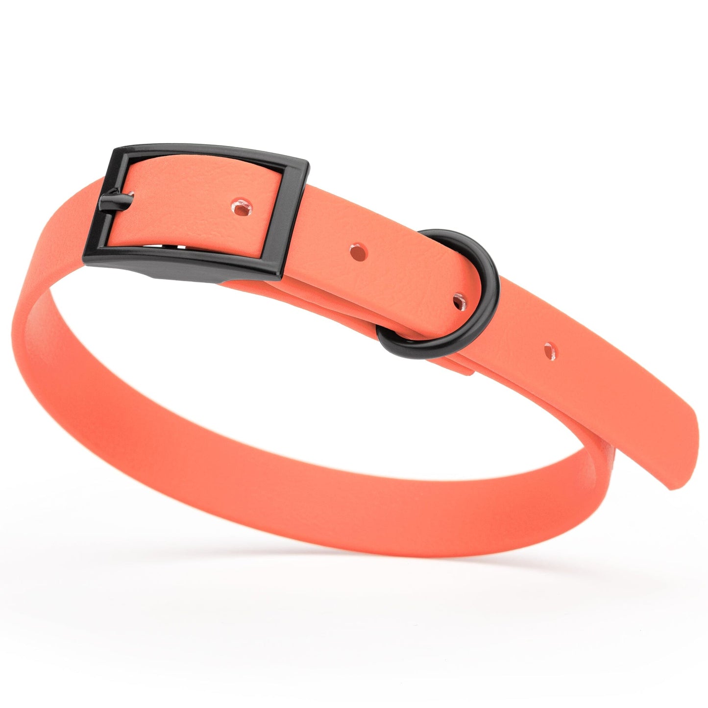 BioThane Waterproof Dog Collar - XS: L 9"-12" x W 1/2" - Black OR Brass Hardware