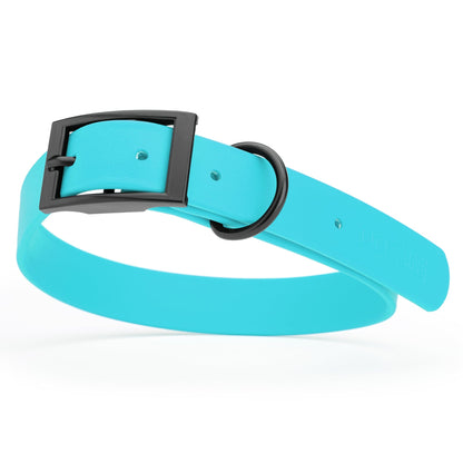 BioThane Waterproof Dog Collar - XS: L 12"-15" x W 5/8" - Black OR Brass Hardware