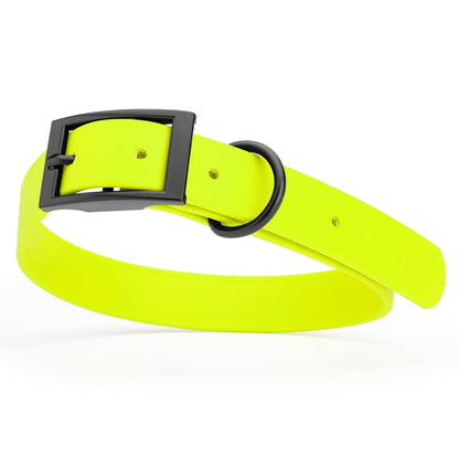 BioThane Waterproof Dog Collar - XS: L 9"-12" x W 1/2" - Black OR Brass Hardware