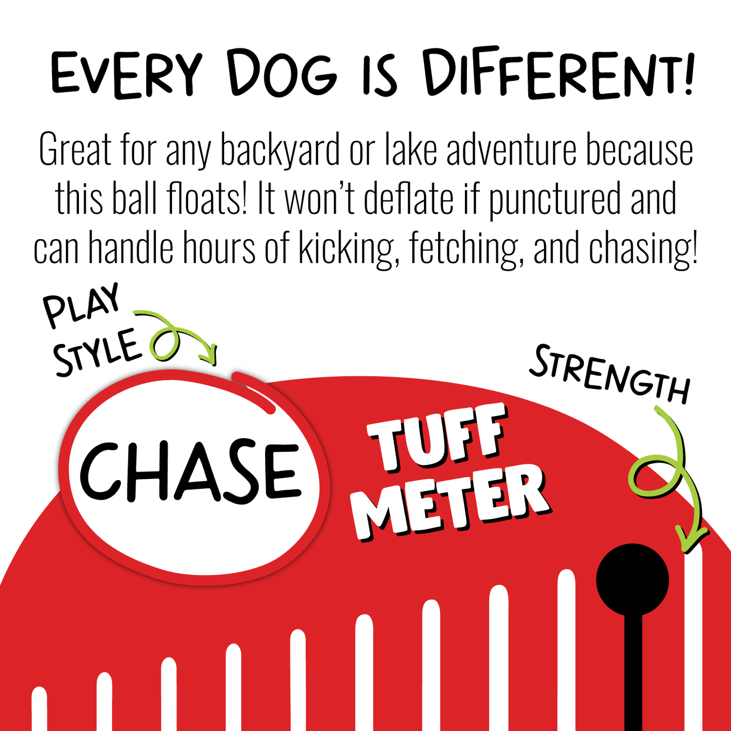 Bounce-n-Play Dog Toy