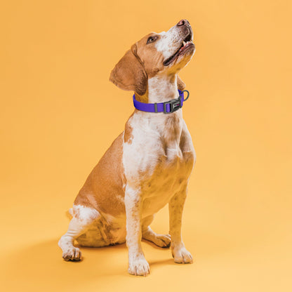 Pebble Emboss Biothane Dog Collar with Quick Release Buckle