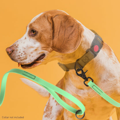 Biothane Dog Leash with Black Scissor Snap