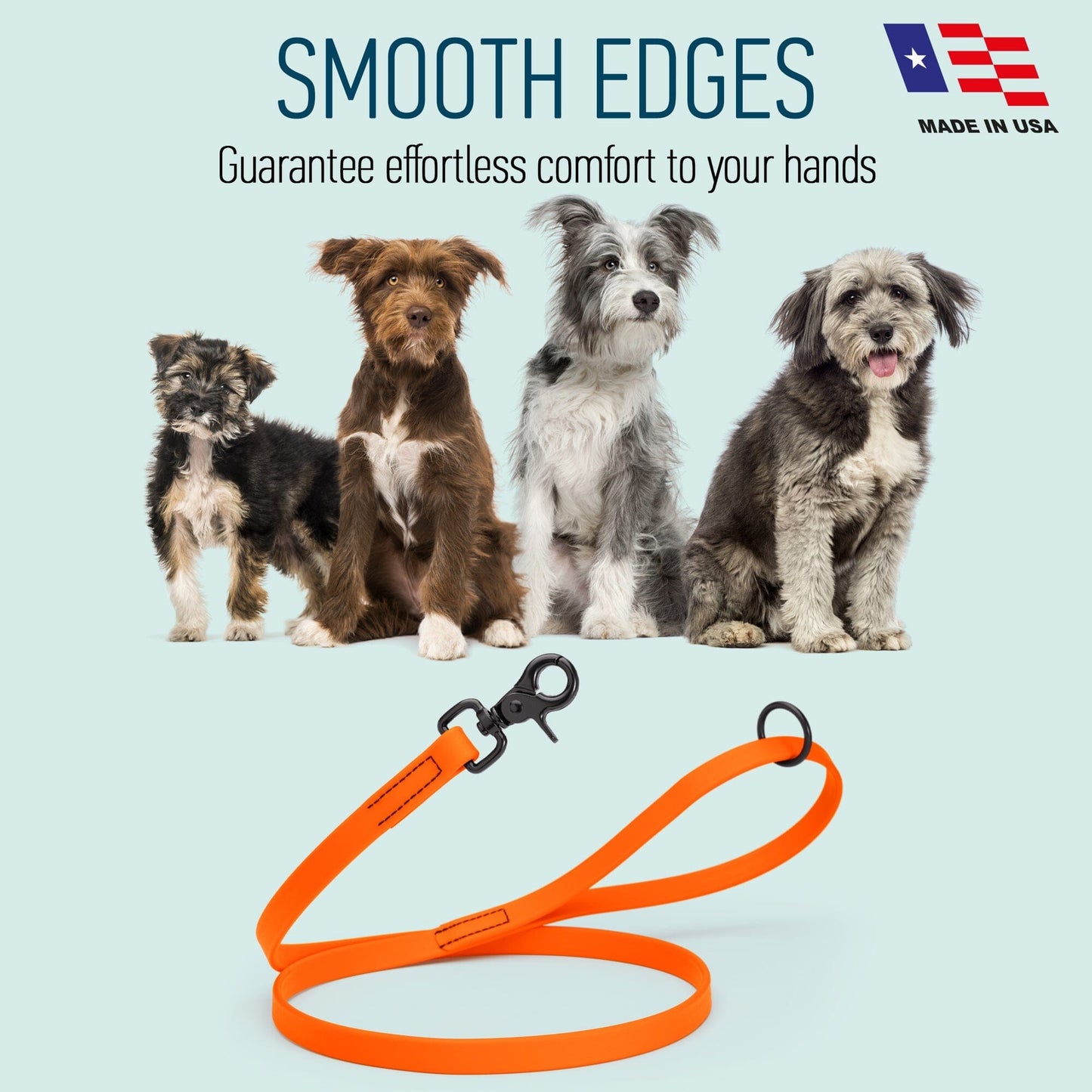 Biothane Dog Leash with Black Scissor Snap