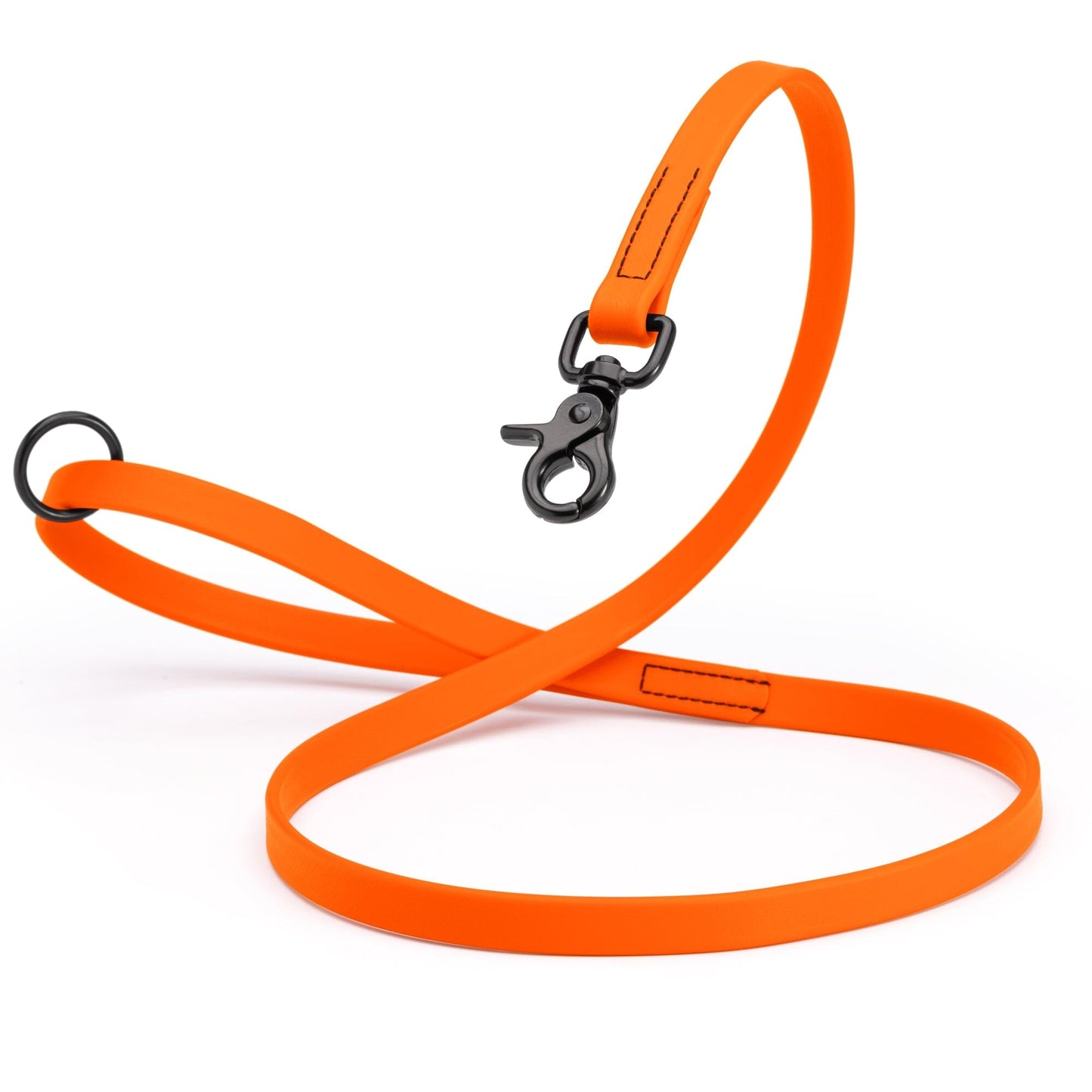Biothane Dog Leash with Black Scissor Snap