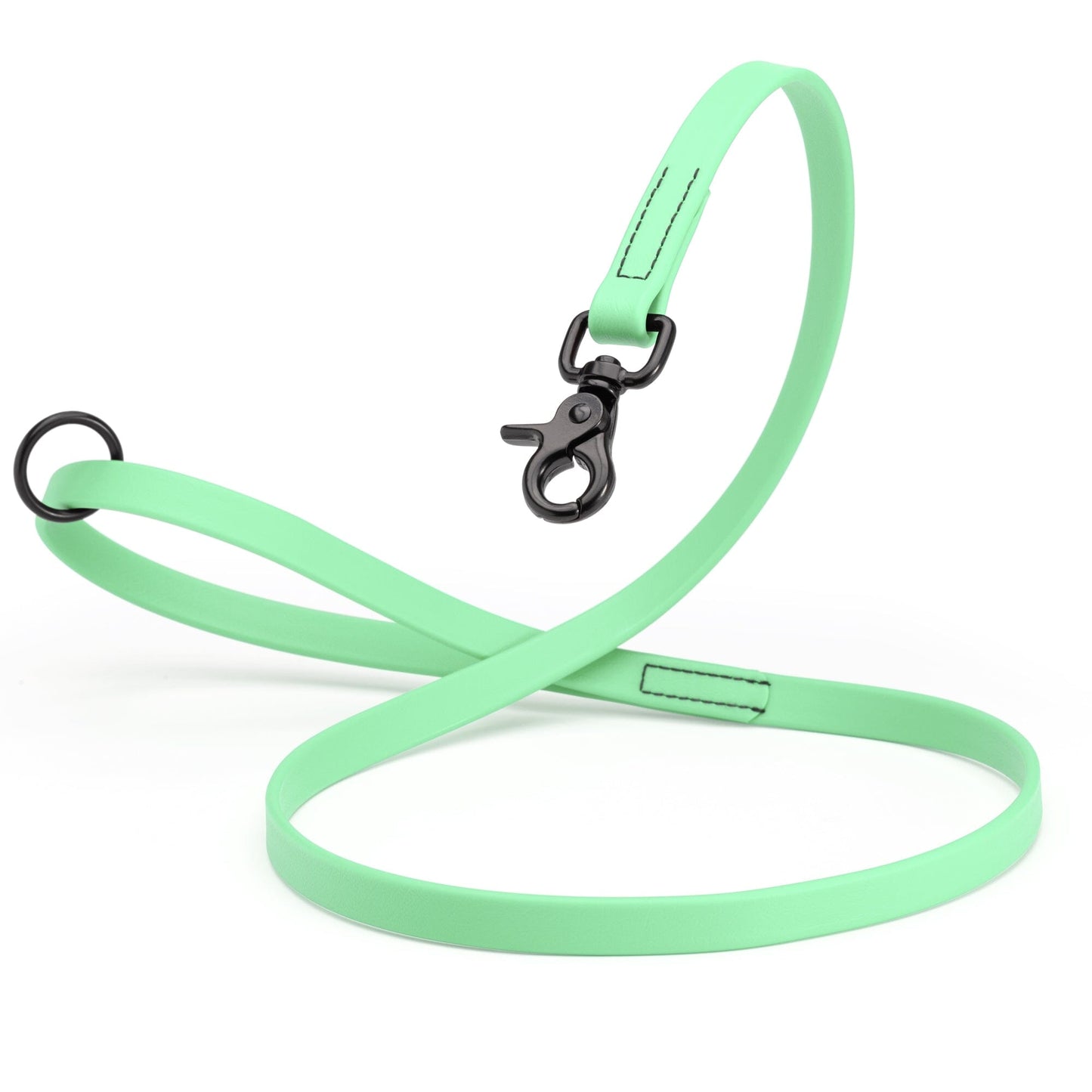 Biothane Dog Leash with Black Scissor Snap