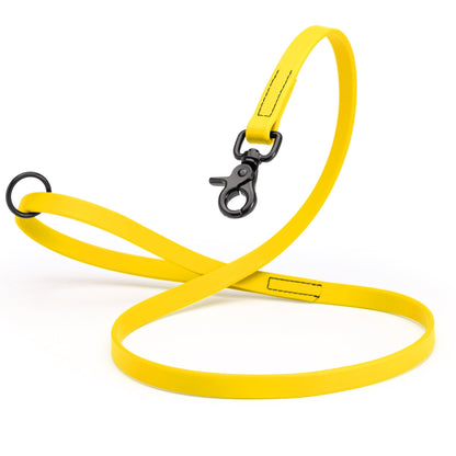 Biothane Dog Leash with Black Scissor Snap