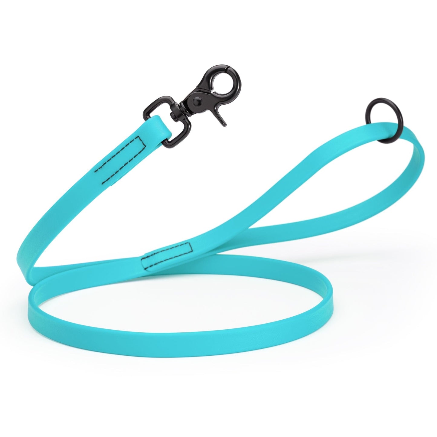 Biothane Dog Leash with Black Scissor Snap