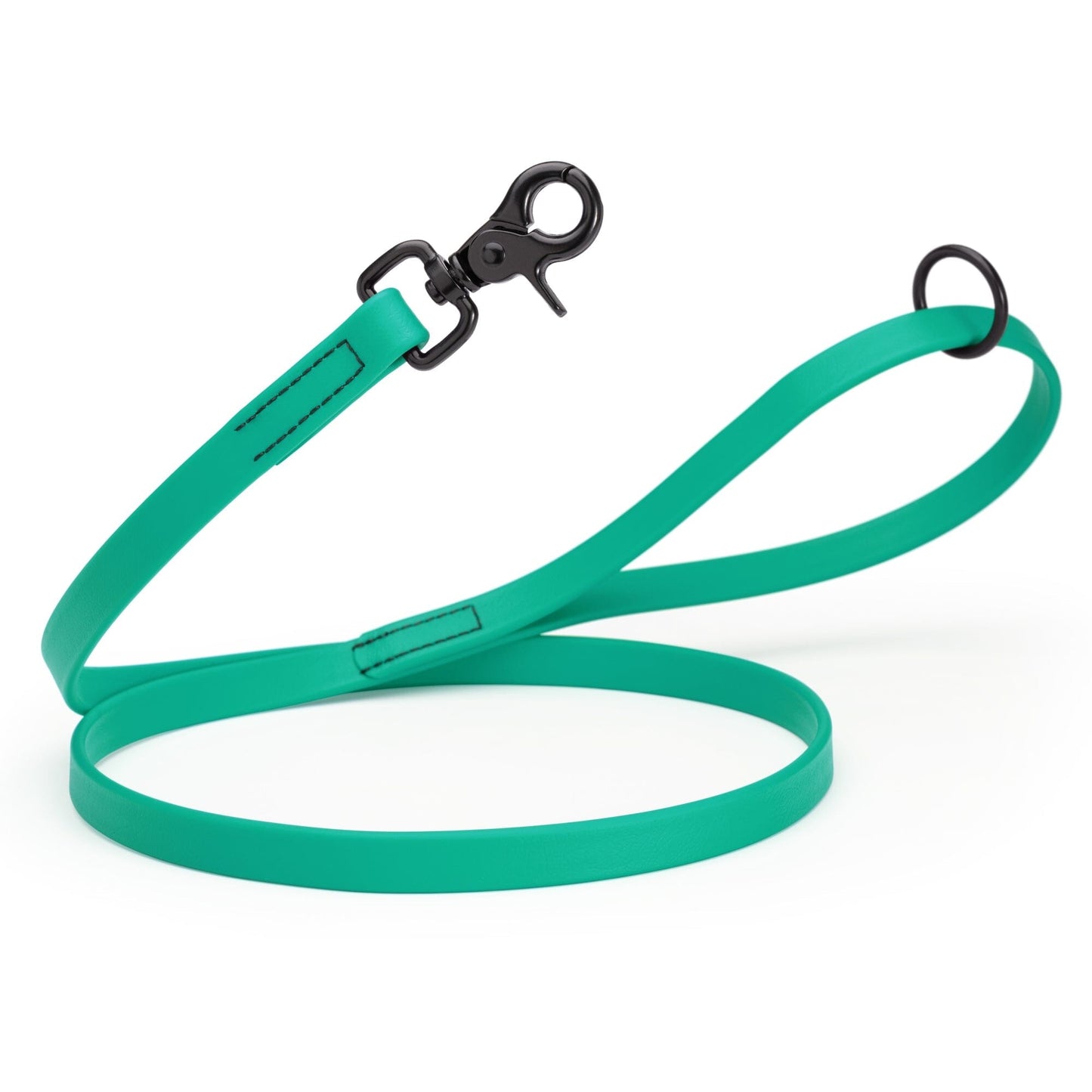 Biothane Dog Leash with Black Scissor Snap