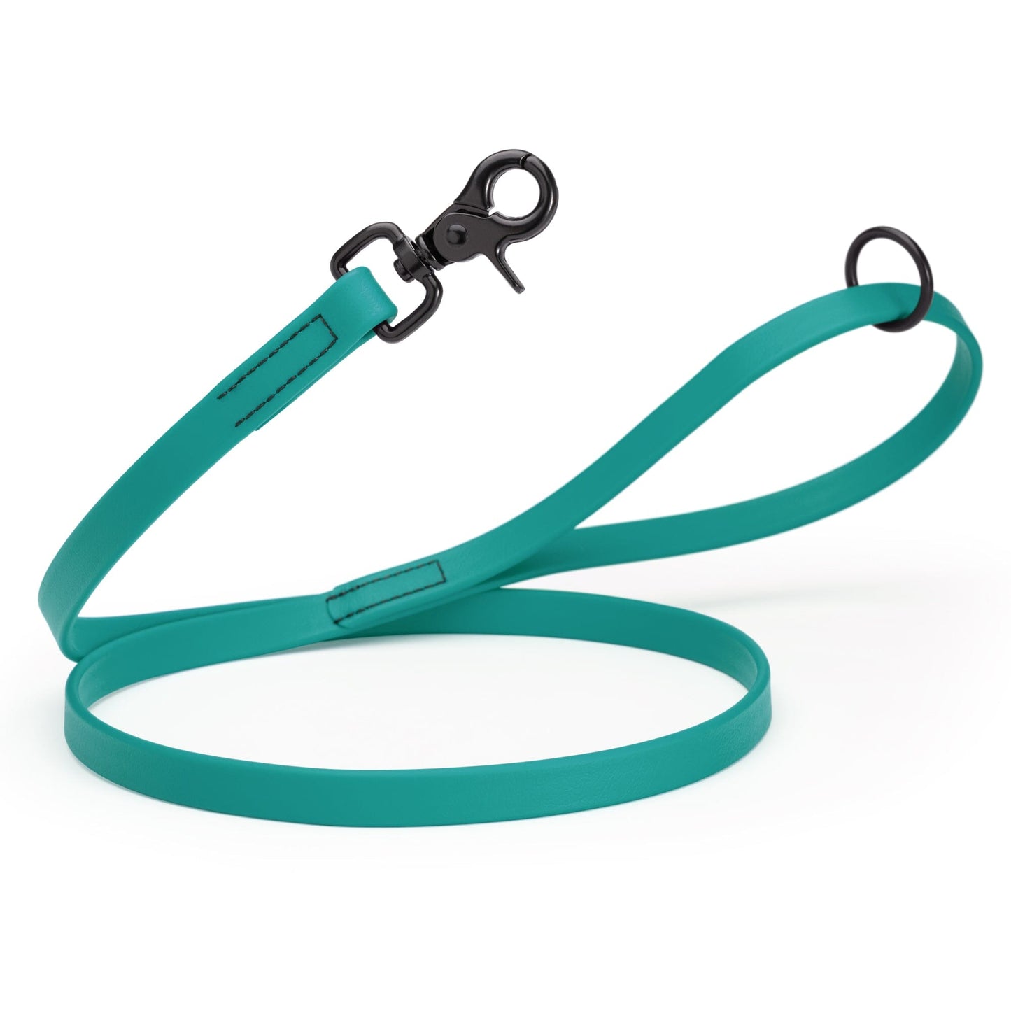 Biothane Dog Leash with Black Scissor Snap