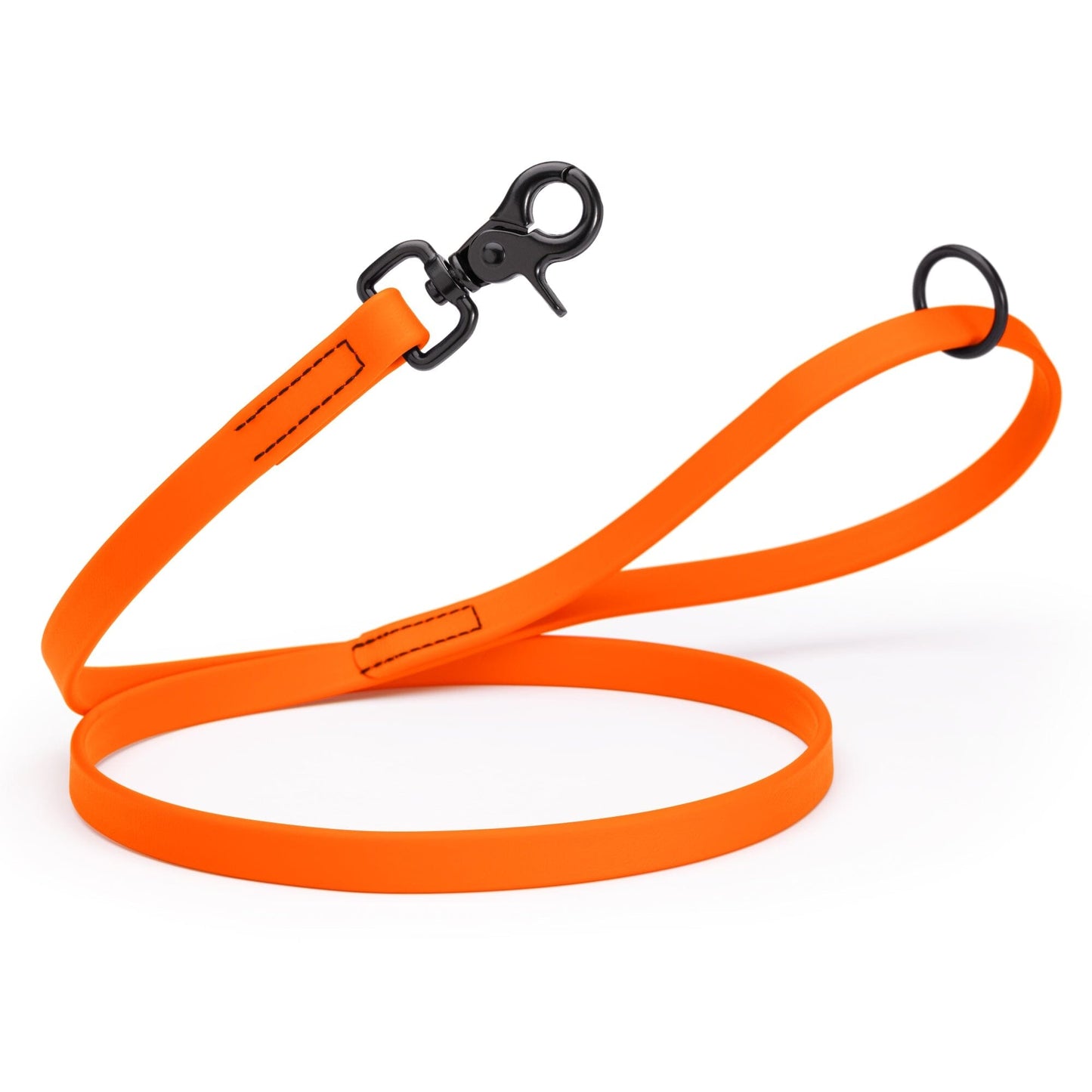 Biothane Dog Leash with Black Scissor Snap
