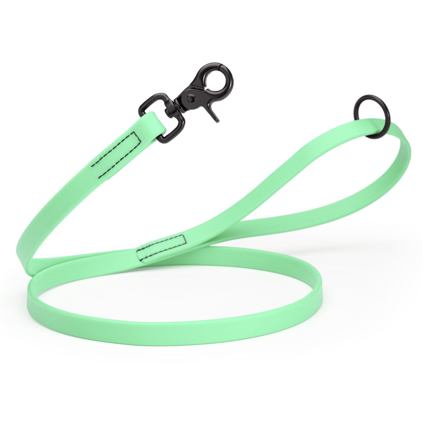 Biothane Dog Leash with Black Scissor Snap