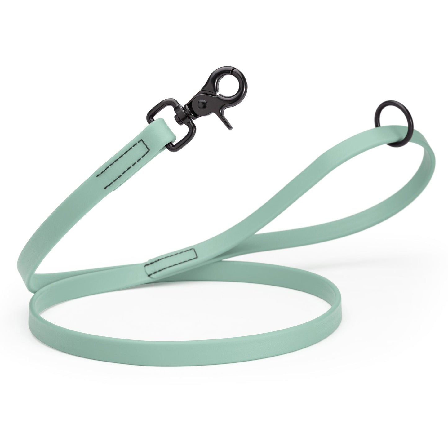 Biothane Dog Leash with Black Scissor Snap