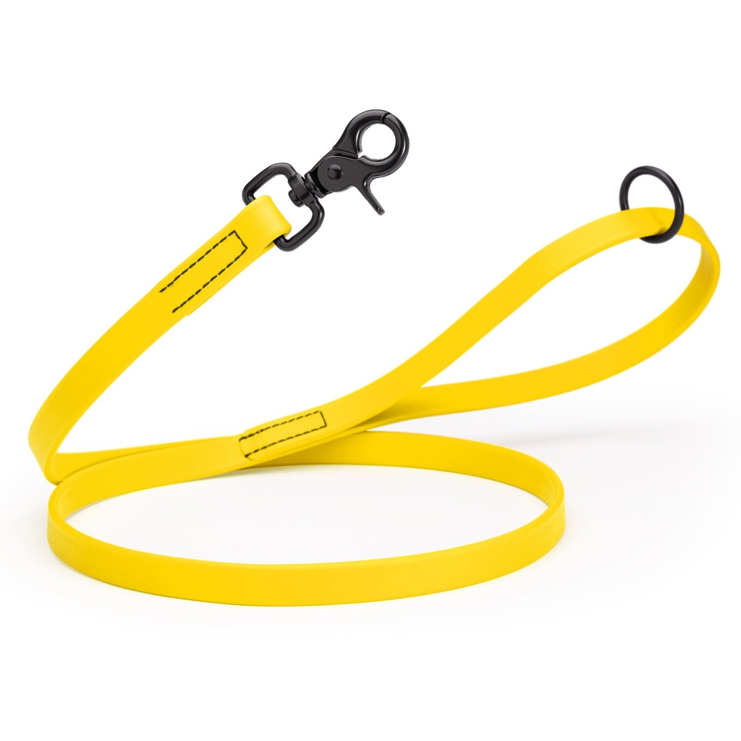 Biothane Dog Leash with Black Scissor Snap