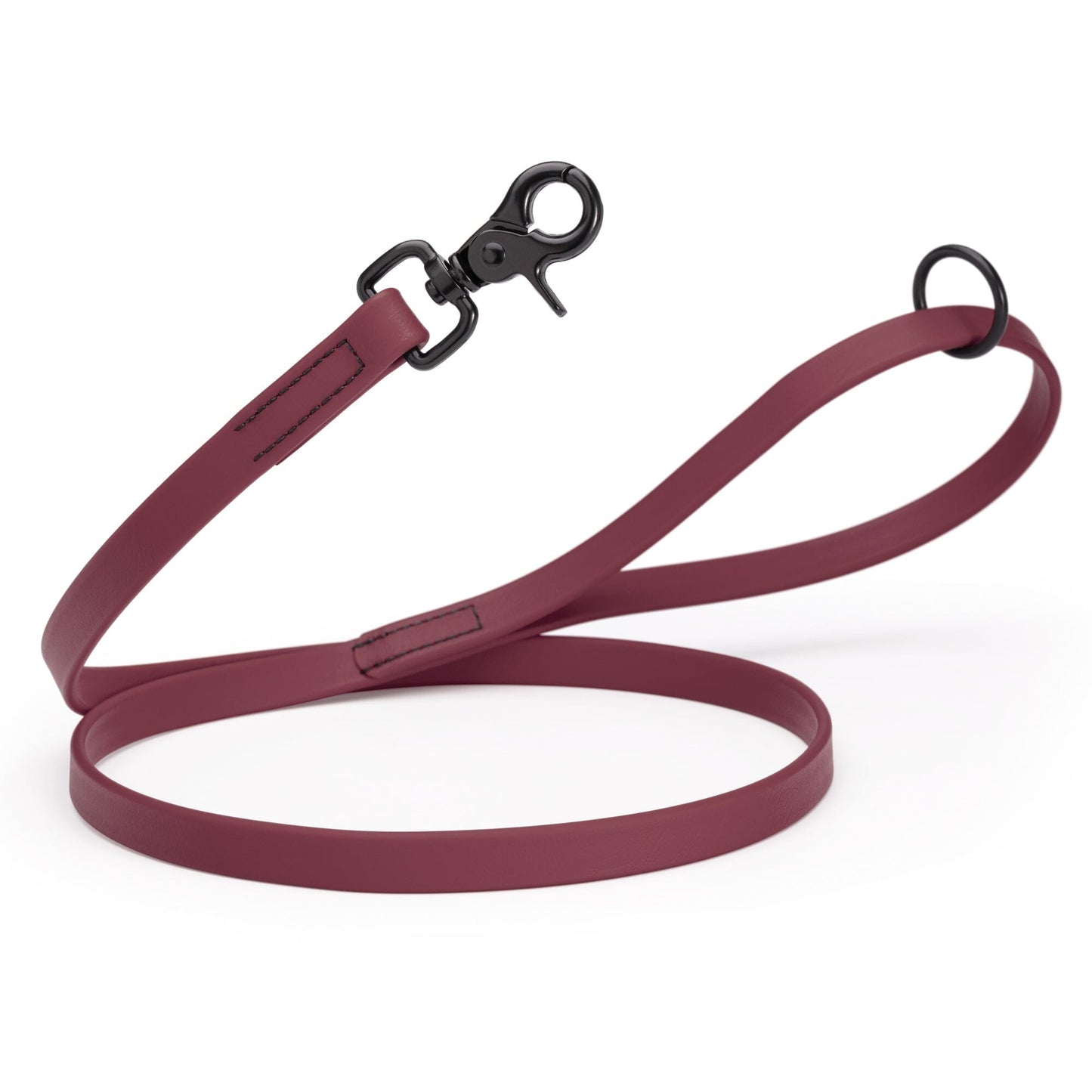 Biothane Dog Leash with Black Scissor Snap