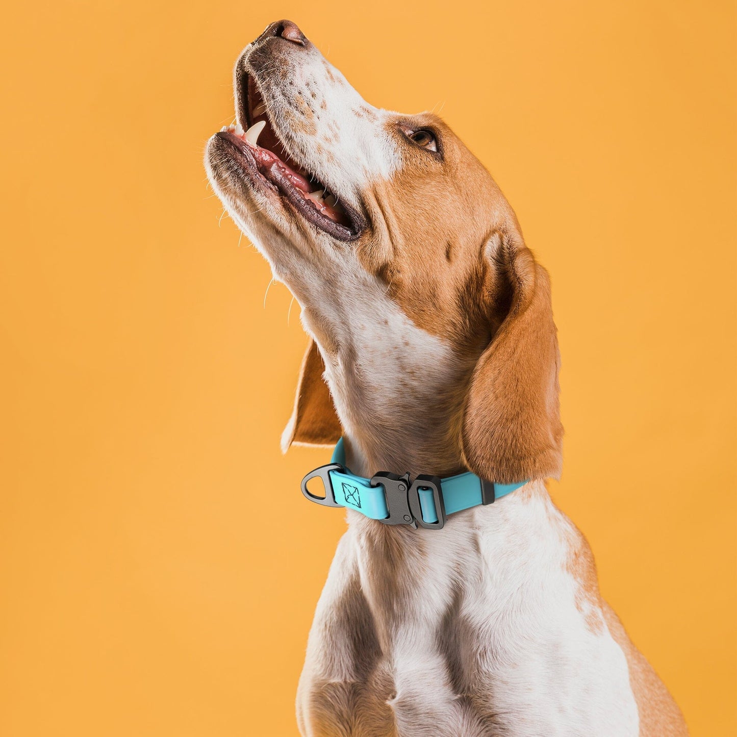 Dogline BioThane Dog Collar with Stab-Lock Quick Release Buckle