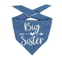 Big Sister Denim Dog Bandana.