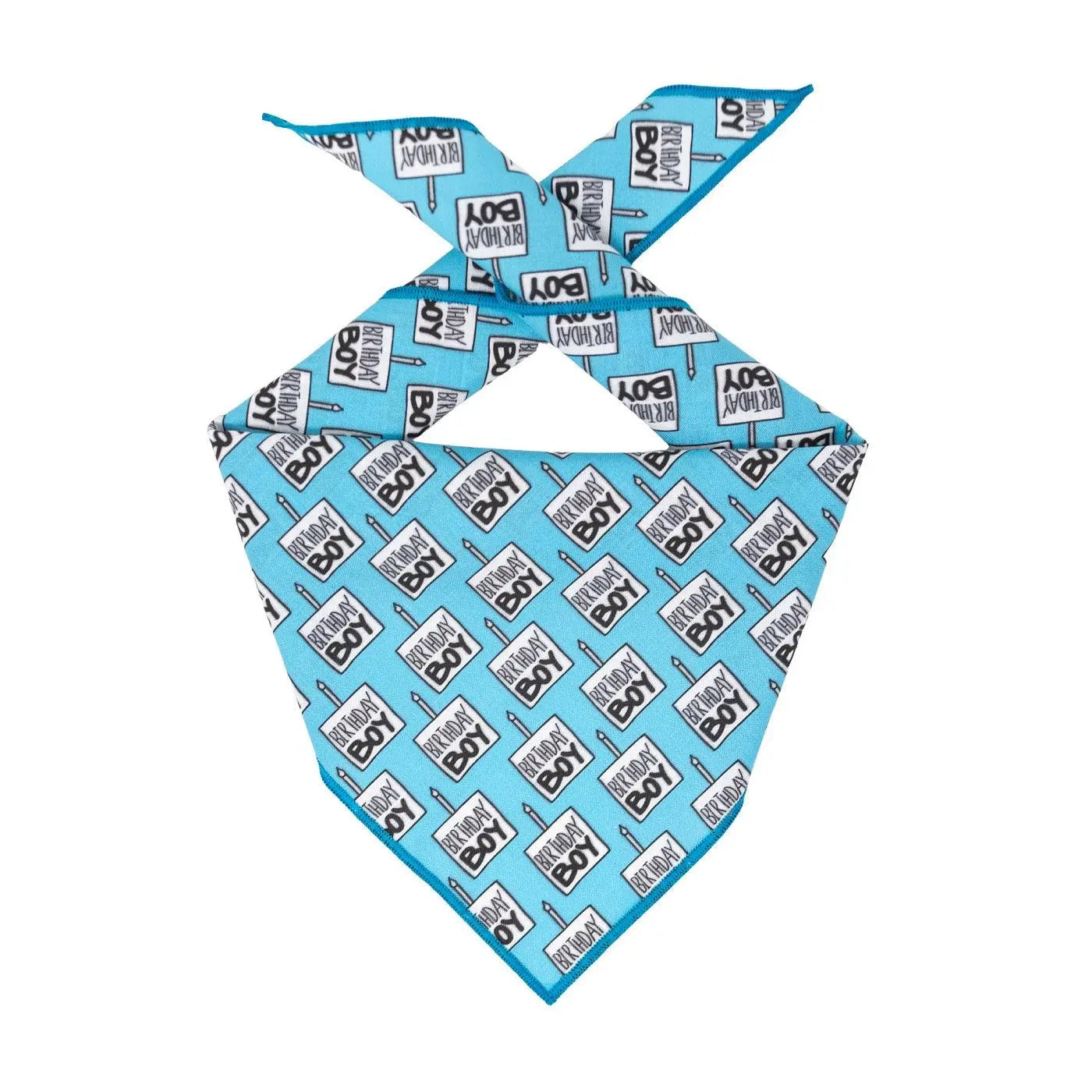 Blue Birthday Boy Dog Bandana - Bark & Beyond