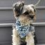 Blue & Gold Floral Dog Bandana.