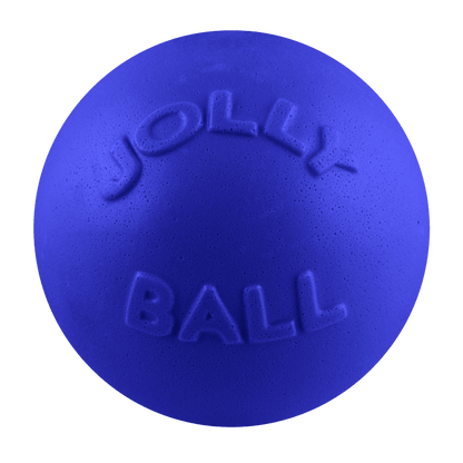 Bounce-n-Play Dog Toy