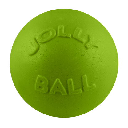 Bounce-n-Play Dog Toy