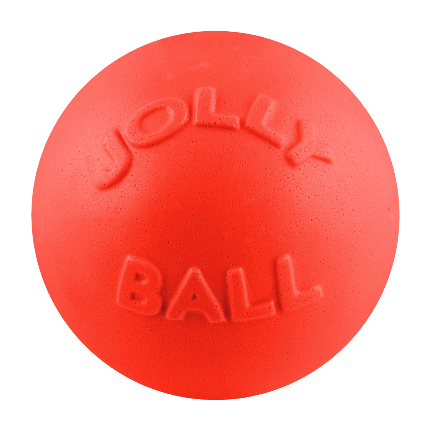 Bounce-n-Play Dog Toy